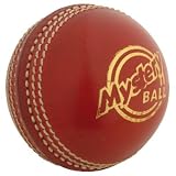 GRAY-NICOLLS Mystery Cricket Ball , SENIOR