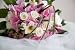 Wallmonkeys Peel and Stick Wall Decals - Lovely Pink and White Wedding Bouquet Lying on Top of the Veil - Removable Graphic