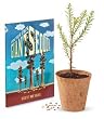 Mini Tree Growing Kit - Giant Sequoia