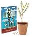 Mini Tree Growing Kit - Giant Sequoia 