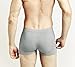 Mens Boxer Briefs Modal Underwear Underpants Variant Color