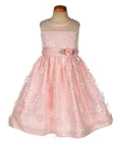 Princess Faith Shimmer Lace Dress (Sizes 2T - 4T)