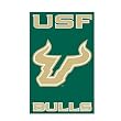 South Florida Banner Flag
