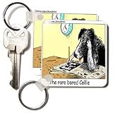 Londons Times Funny Dogs Cartoons - Bored Border Collie - Key Chains