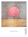 Spring Fruit - Art Print - 50.8x61.0cm - Art247 Poster Print