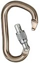 Black Diamond Rocklock Screwgate Carabiner