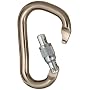 Black Diamond Rocklock Screwgate Carabiner