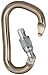 Sporting Goods : Black Diamond RockLock Screwgate Carabiner