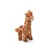 San Diego Zoo-Silver Giraffe