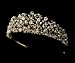 Princess Gold Crystal & Freshwater Pearl Bridal Tiara