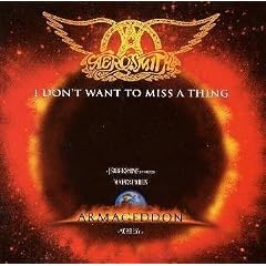 I Don't Want to Miss a Thing