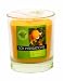 Soy Inspirations Orange Grove Soy Candle, 1.9-Ounces Jars (Pack of 6)