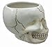 Pacific Giftware ArtMuseKitsMikash Cool Ceramic Skull Bowl W/Bone Spoon
