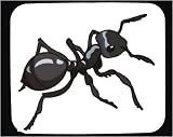 Decorated Mouse Pad with insect, garden, ant