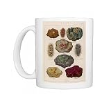 Gems Embedded In Rocks Photo Mugs