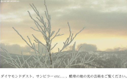 Cover image : 世界の自然現象 Nature Spectacle ～ダイヤモンドダスト、大河逆流、皆既日食～ [DVD]