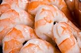 Wild Gulf of Mexico Shrimp