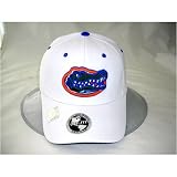 Florida Gators Adult One-Fit Hat by Top of the World
