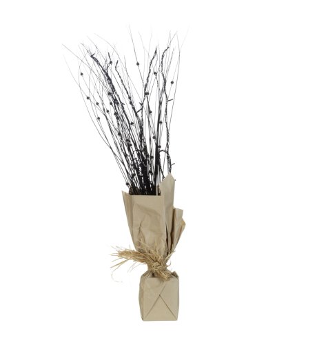 Twig & Pod Display