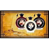 Shunga Chocolate Body Painting Adult Sex Toy Kit