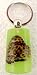 Brown Butterfly Glowing Key Chain Insect Bug Moth Image