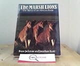 The Marsh lions