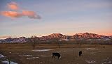 Colorado Winter Morning