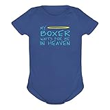 MY Boxer WAITS FOR ME IN HEAVEN ベビーボディ
