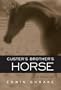 Custer's Brother's Horse