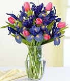 Delicate Mom's Delight