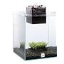 Fluval Chi Aquarium 19L by Fluval