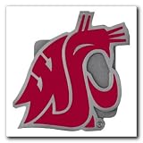 Class III Hitch Cover 2, Washington State Cougars
