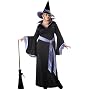 California Costume Women's Plus Size-Incantasia - Glamour Witch