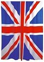 Union Jack Shower Curtain