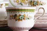 Review Royal Stafford  / Royal Stafford Dovedale Cup and Saucer
