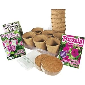 DuneCraft Outdoor Garden Kit - Hummingbird Garden Kit