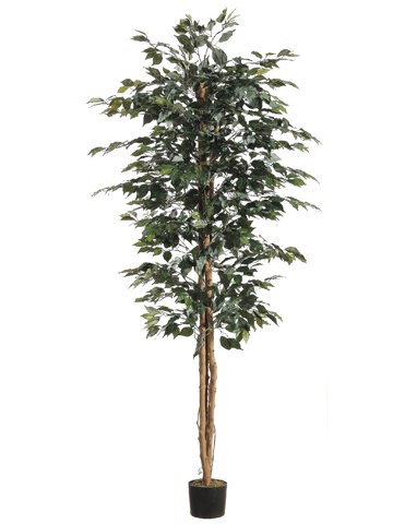 Pack of 2 Potted Artificial Decorative Silk Ficus Trees 7'