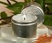Antique Garden Eucalyptus Mist 60ml/2oz Travel Candle