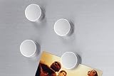 Zack Cult Magnets, set of 6