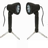 Ex-Pro Mini L200 (Natural) Lighting kit for Photogrphic Light Tents (2 Lights).by Ex-Pro