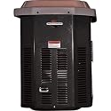 Briggs & Stratton 40248 7,000 Watt PowerNow Dual Mode Air Cooled Home Standby Generator