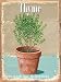 Thyme Metal Sign