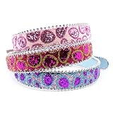 Handcrafted Fusion Rhinestone Buckle Glitter Dog Collar - Fuchsia/Gold, Large (15-20)