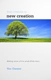 From creation to new creation : making sense of the whole Bible story