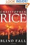 Blind Fall: A Novel