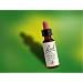 Bach Essence Rock Water 20 Milliliters
