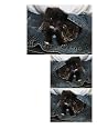 Siwo - Design Katzen Fliesen Dekoration (329)