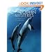 Dolphin Mysteries: Unlocking the Secrets of Communication