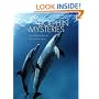 Dolphin Mysteries: Unlocking the Secrets of Communication