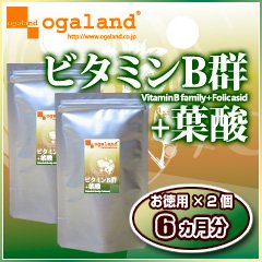 オーガランド　♪お徳用ビタミンB群+葉酸（2個セット・6ヶ月分）